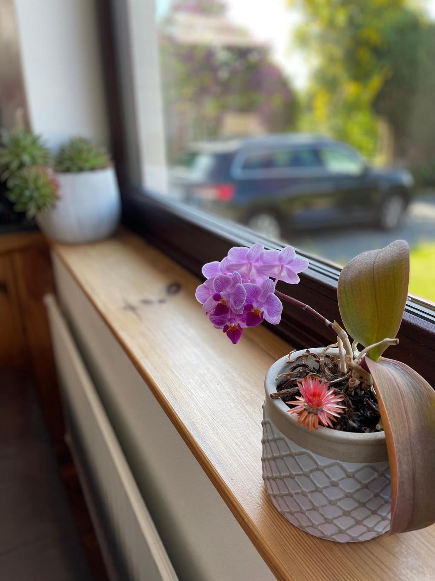 Casa Marcu Wohnung 2 Eg Landkirchen Buitenkant foto